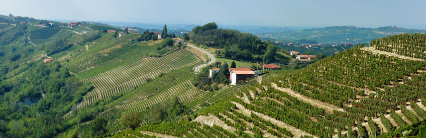 Wine Trip to Italy